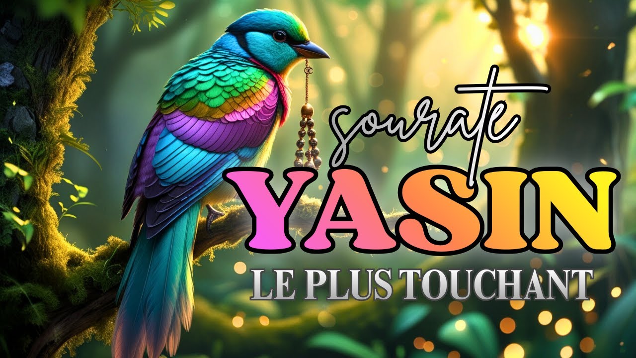 Surah Yasin | le cœur du Coran | Qu’Allah t’accorde la Baraka et le monde et l'au-delà