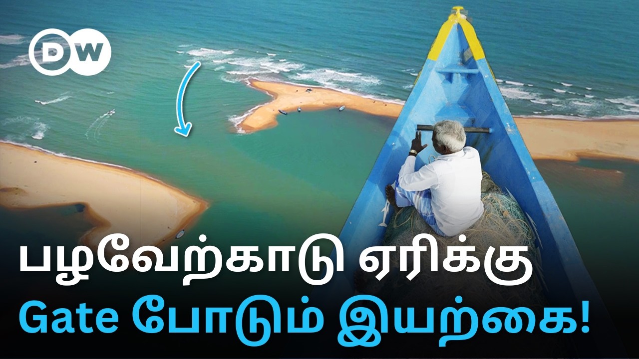 Pulicat Lake: 
