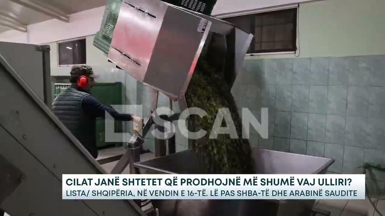 Cilat janë shtetet që prodhojnë më shumë vaj ulliri? – Lista/ Shqipëria, në vendin e 16-të