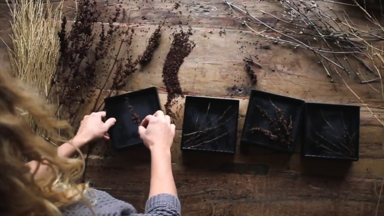 Making Art From Nature - Stress Relief From Susie Frazier