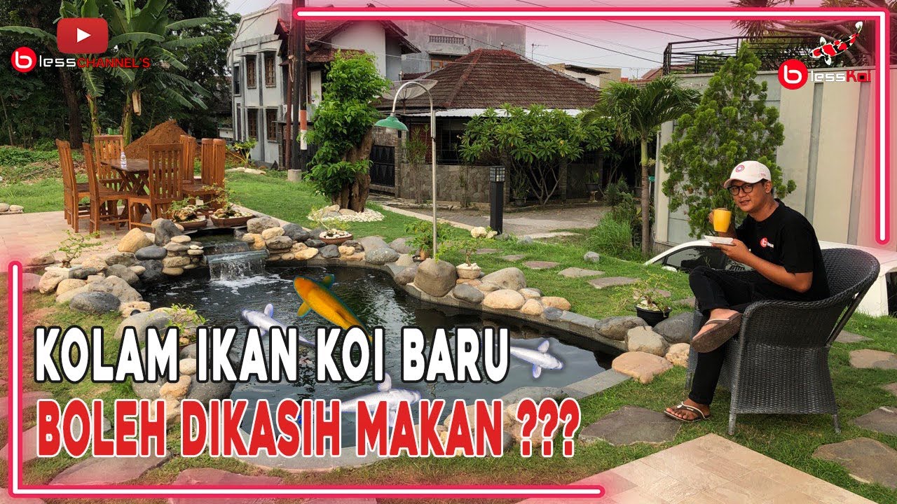 KOLAM IKAN KOI BARU,BOLEH DIKASIH MAKAN ???