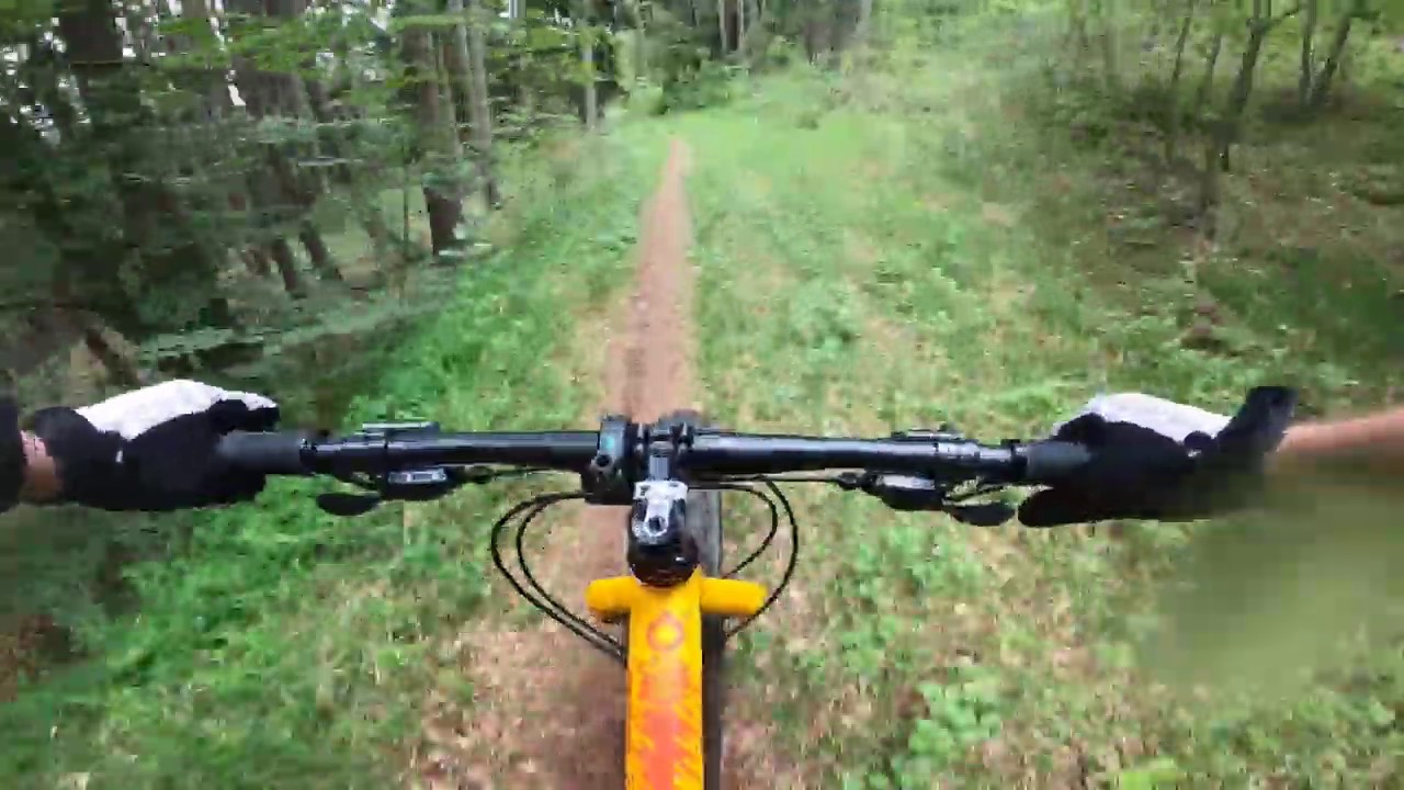Silverback Scoop Delight 2020 FATBike im Test
