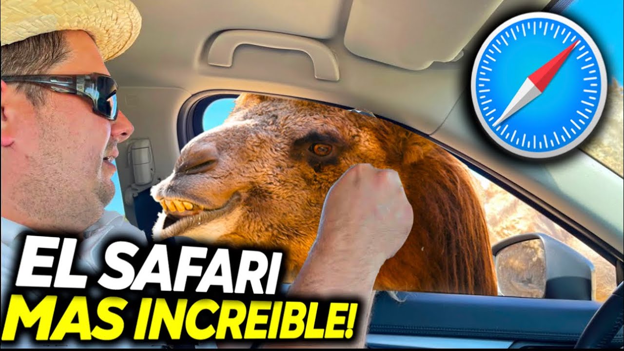 EL EMOCIONANTE SAFARI DE MADRID QUE NO QUERRÁS PERDERTE