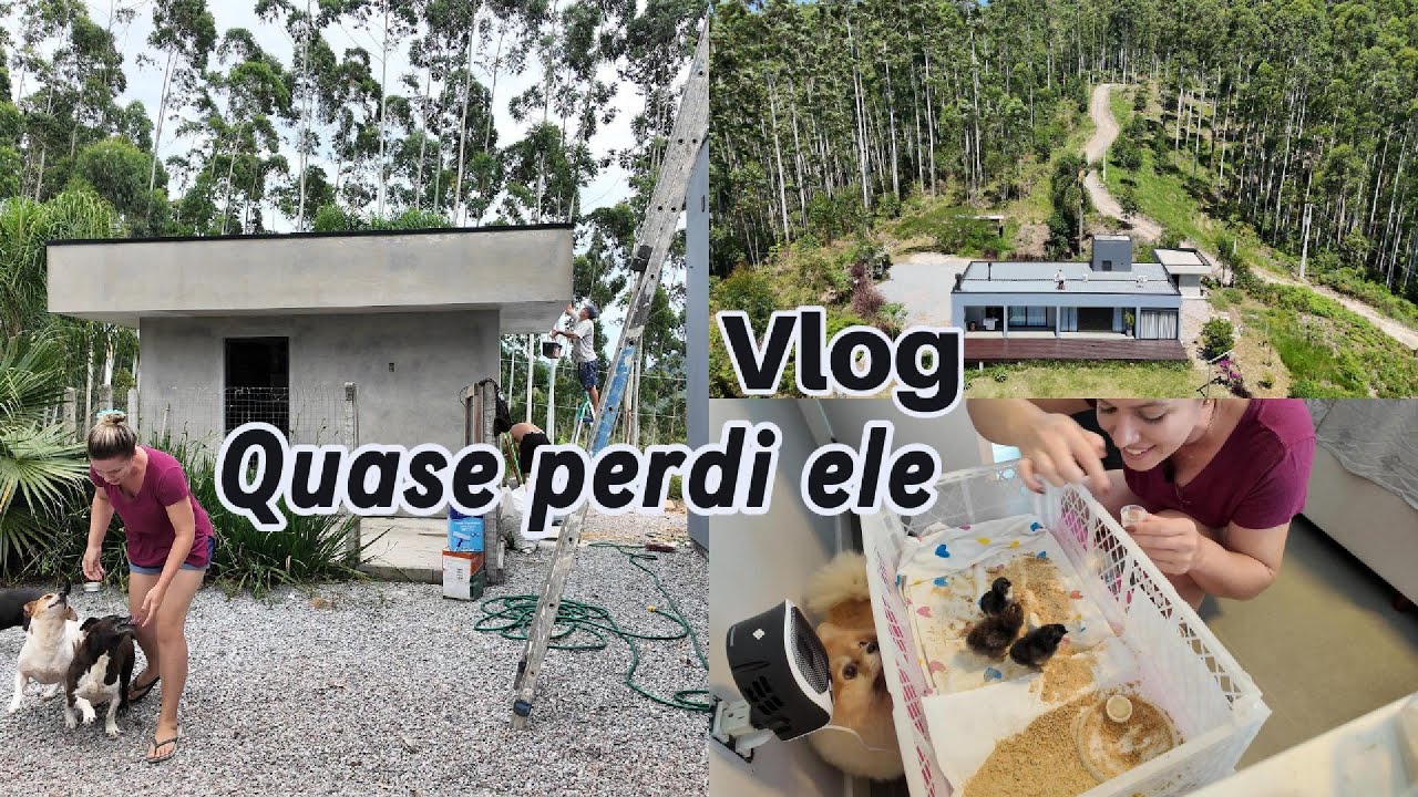 Finalizando a pintura externa. Pensa no susto que levei. Rotina no interior.