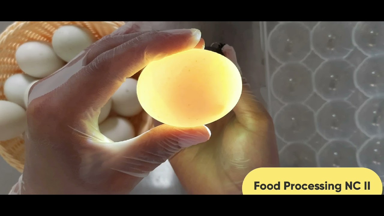Sorting and Grading Duck Eggs for Salting Egg