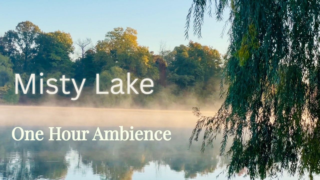 Misty Lake Morning Ambience 🌫 | 1 Hour of Calm Nature Sounds for Sleep & Relaxation