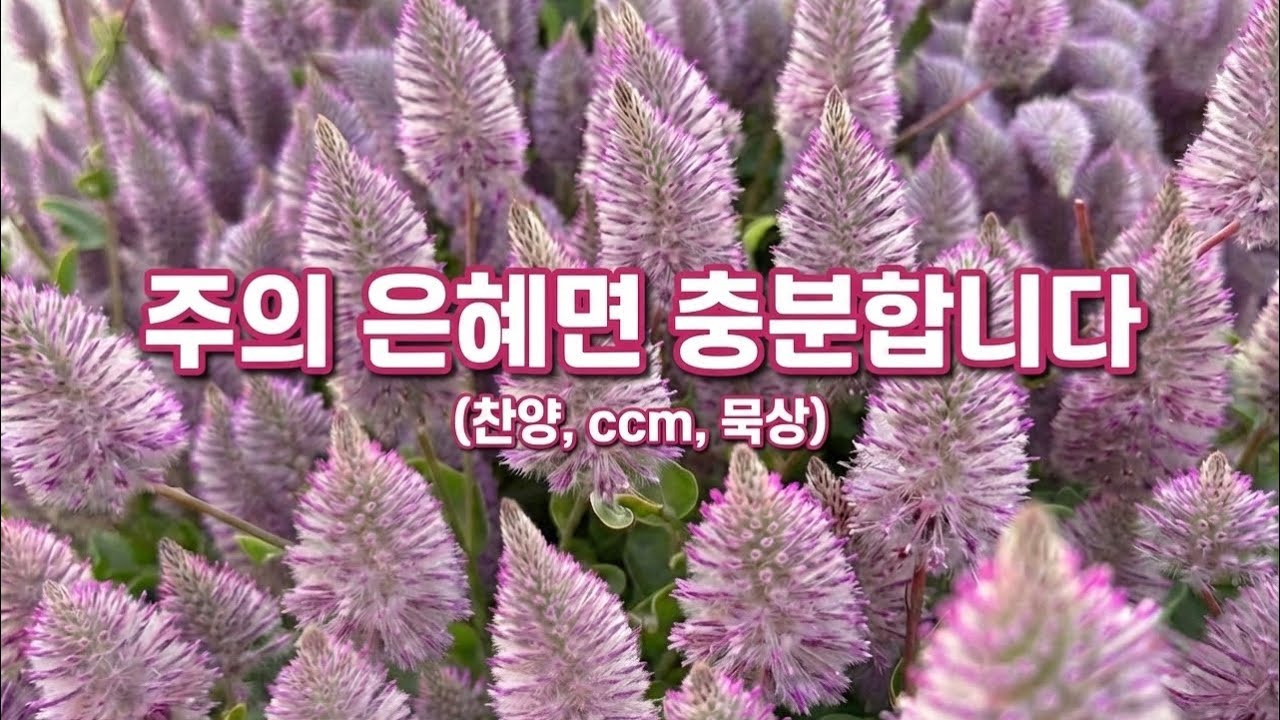 [찬양] 주의 은혜면 충분합니다🎶 | 하나님의 은혜를 간절히 구하는 찬양 | CCM