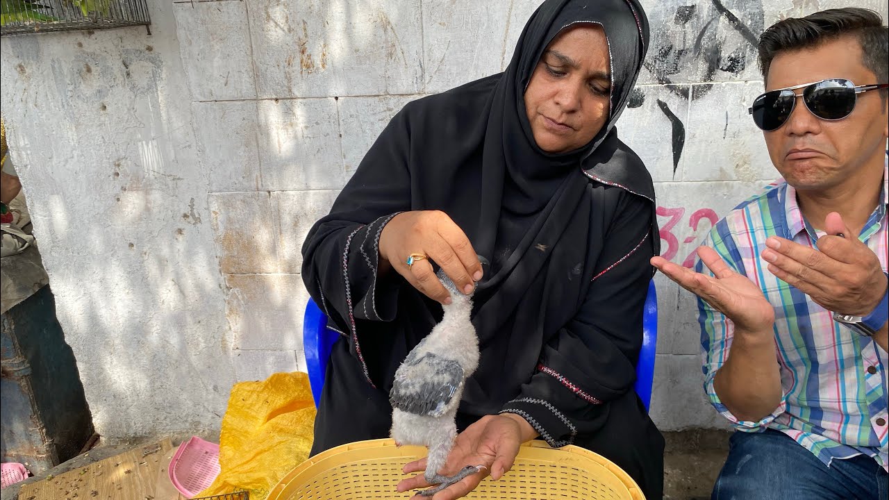 Sunday Lalukhet Birds Market June 02, 2024 | PBI Official