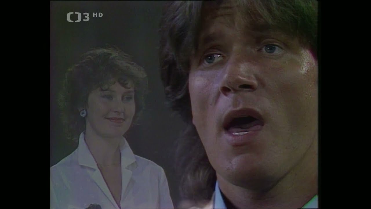 Jindřich Malík - Lady (1984)