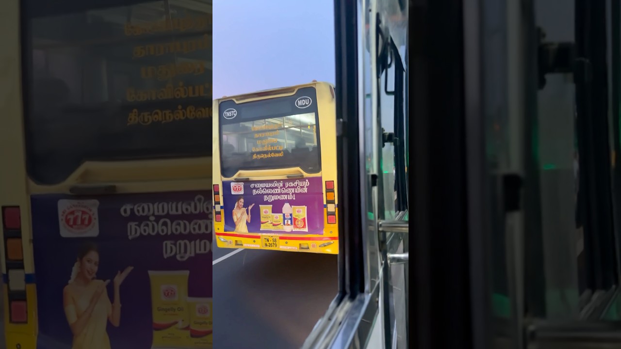 🔥TNSTC MDU Vs SETC 🔥 (Tirunelveli to Coimbatore) #bus #travel #setc #tnstc #trending #shortsfeed