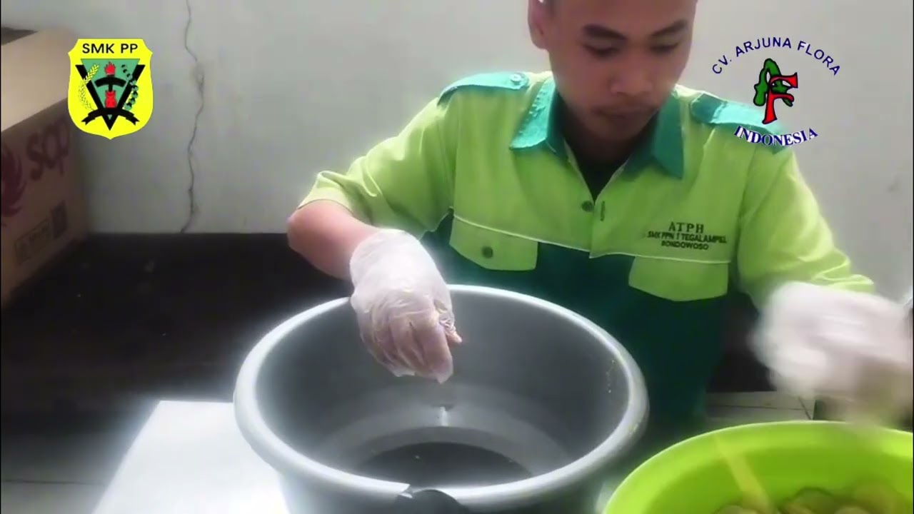Kegiatan saya selama PKL di CV ARJUNA FLORA kota batu malang@smkppnegeri1tegalampel 