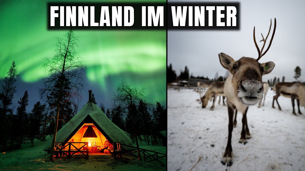 Finnland im Winter ❄️ Ein Fotografie Abenteuer am Polarkreis 🦌