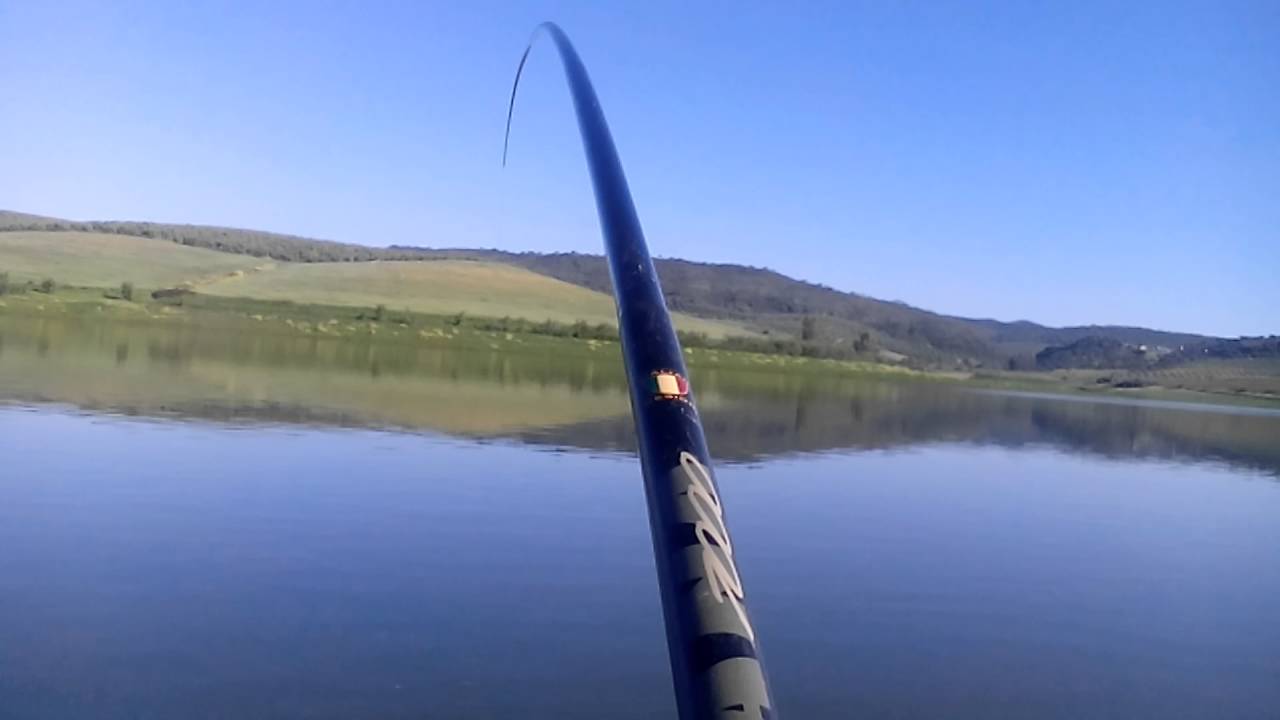 PESCA CARPA||ePIc En Jose Toran y picada bestial