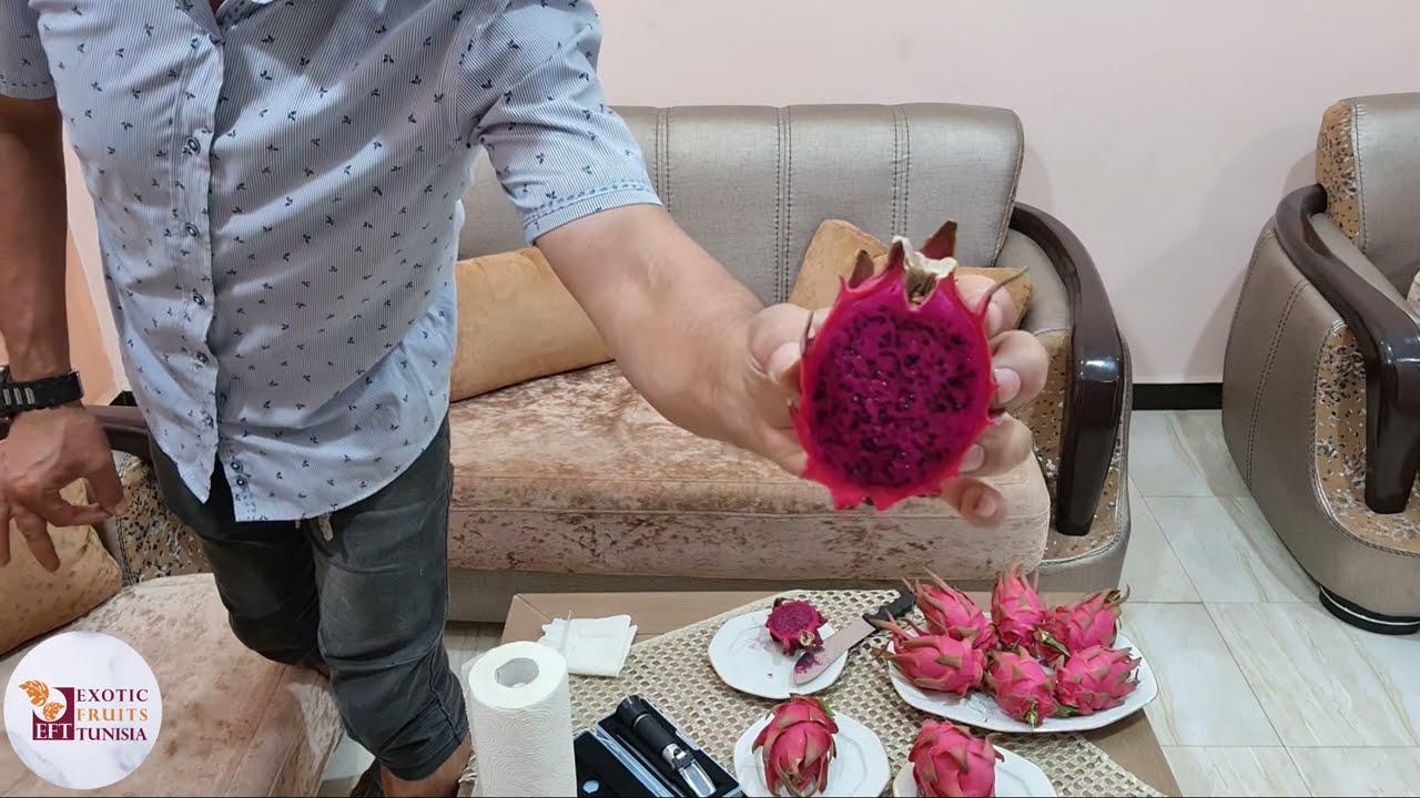 @efttunisia إختبار التذوق والطعم Costa cebra