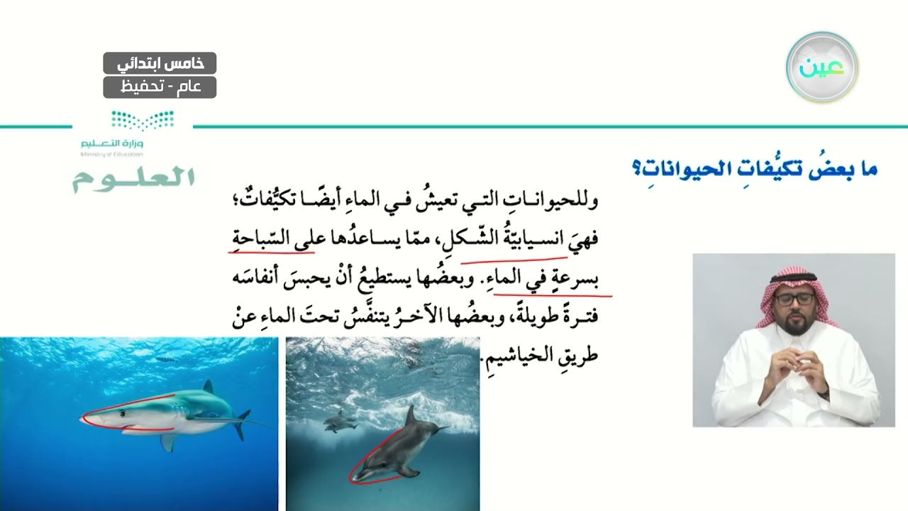 ما بعض تكيفات الحيوانات؟ - العلوم - خامس ابتدائي