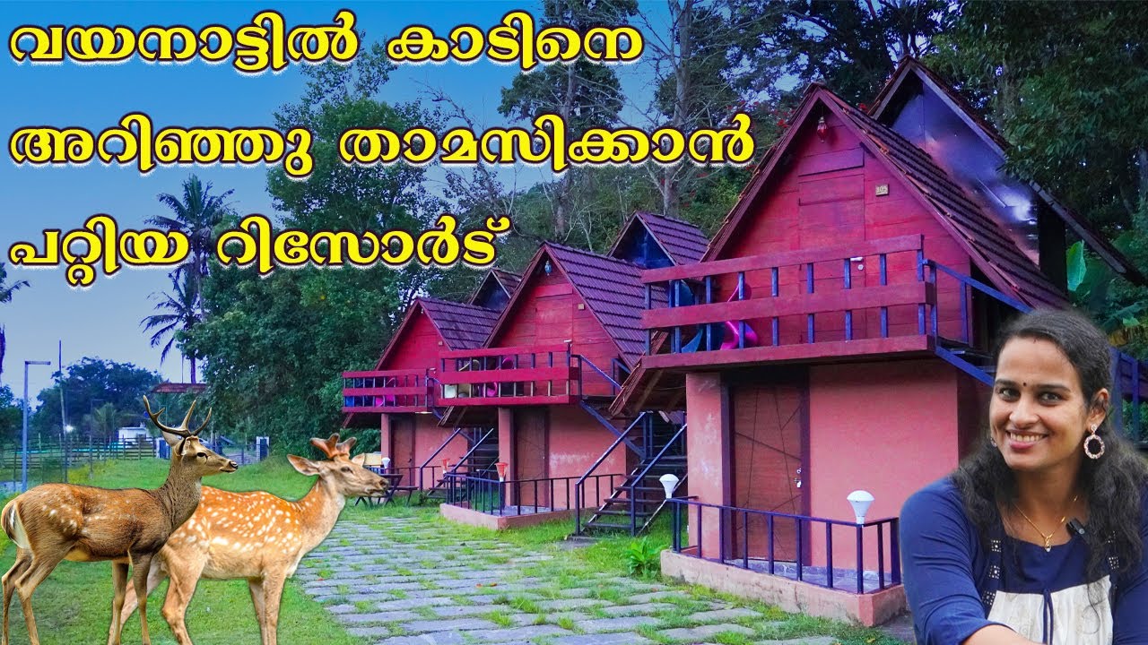 Best Forest Resorts In Wayanad | Wild West Forest Resort In Muthanga |