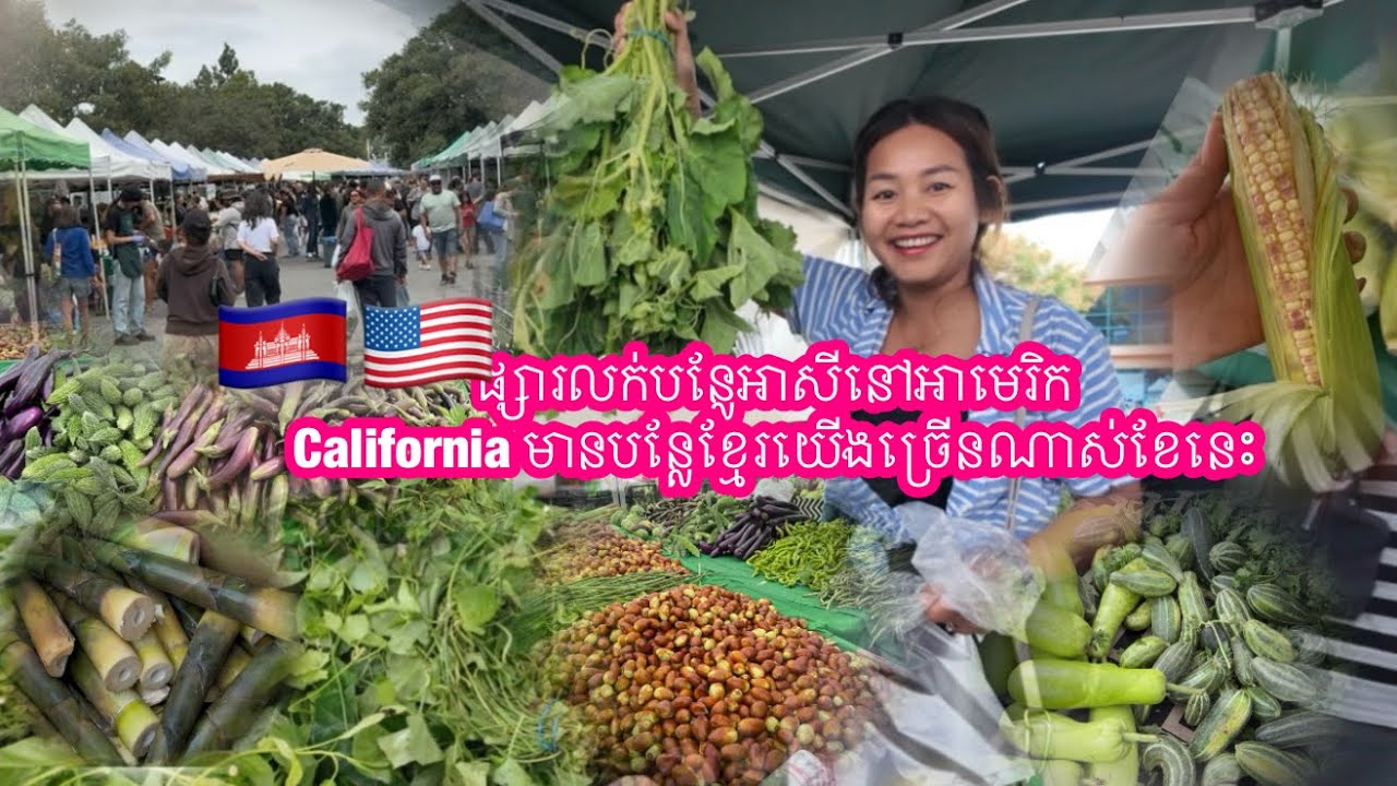 ផ្សារកសិករនៅអាមេរិកលូវមានលក់បន្លែខ្មែរច្រើនណាស់