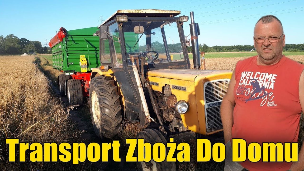 Transport Zboża Na Gospodarstwo ☆Perkins Daje Radę ☆Żniwa 2019 Dzień Drugi