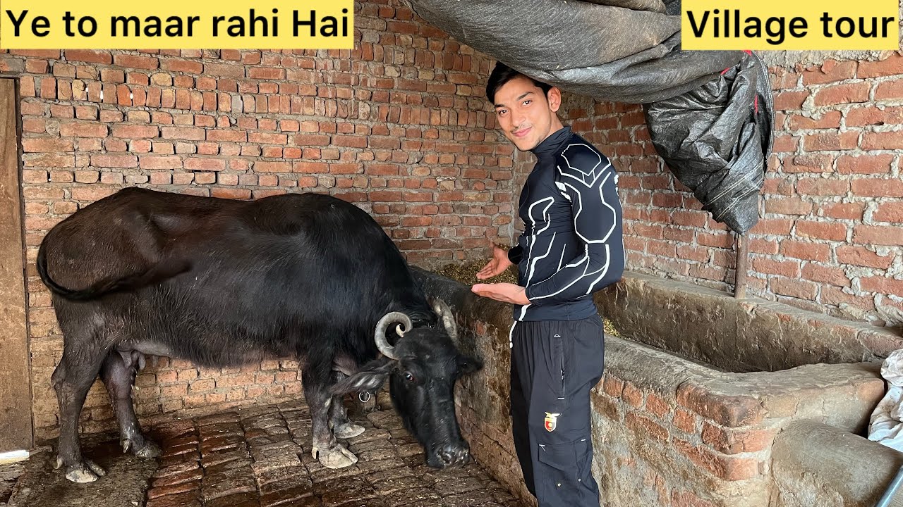 Ye to maar rahe ha and village tour.   