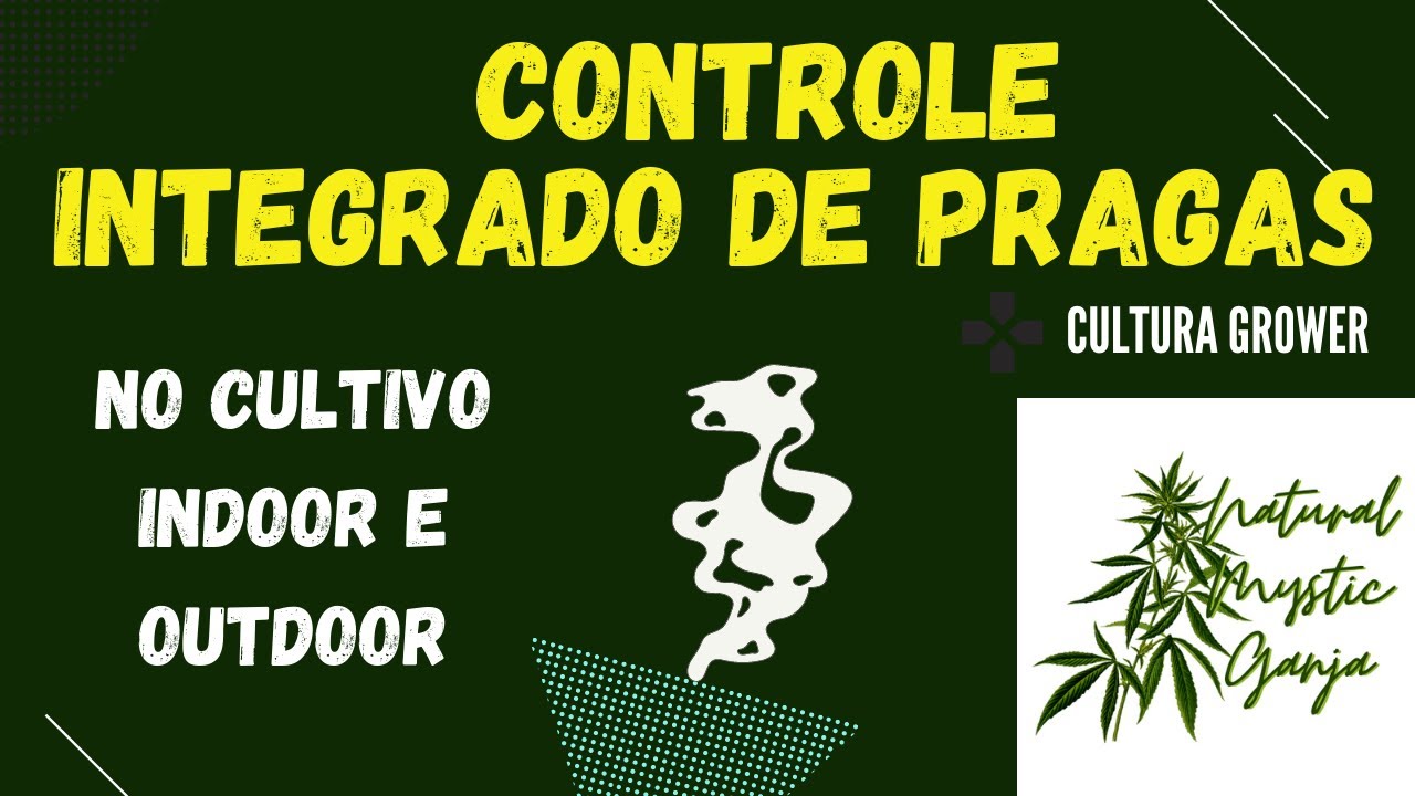 CONTROLE INTEGRADO DE PRAGAS NO CULTIVO