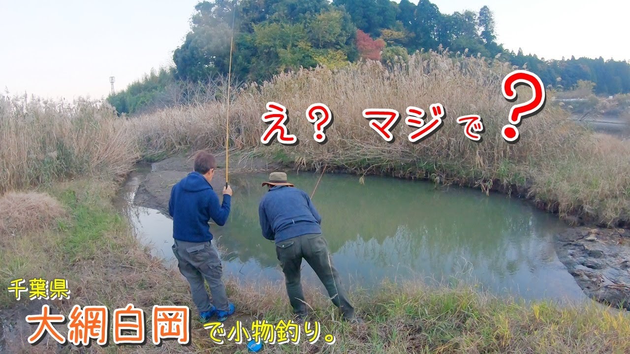 え？！あれが釣れちゃいました！ 千葉県 大網白里市で小物釣り。