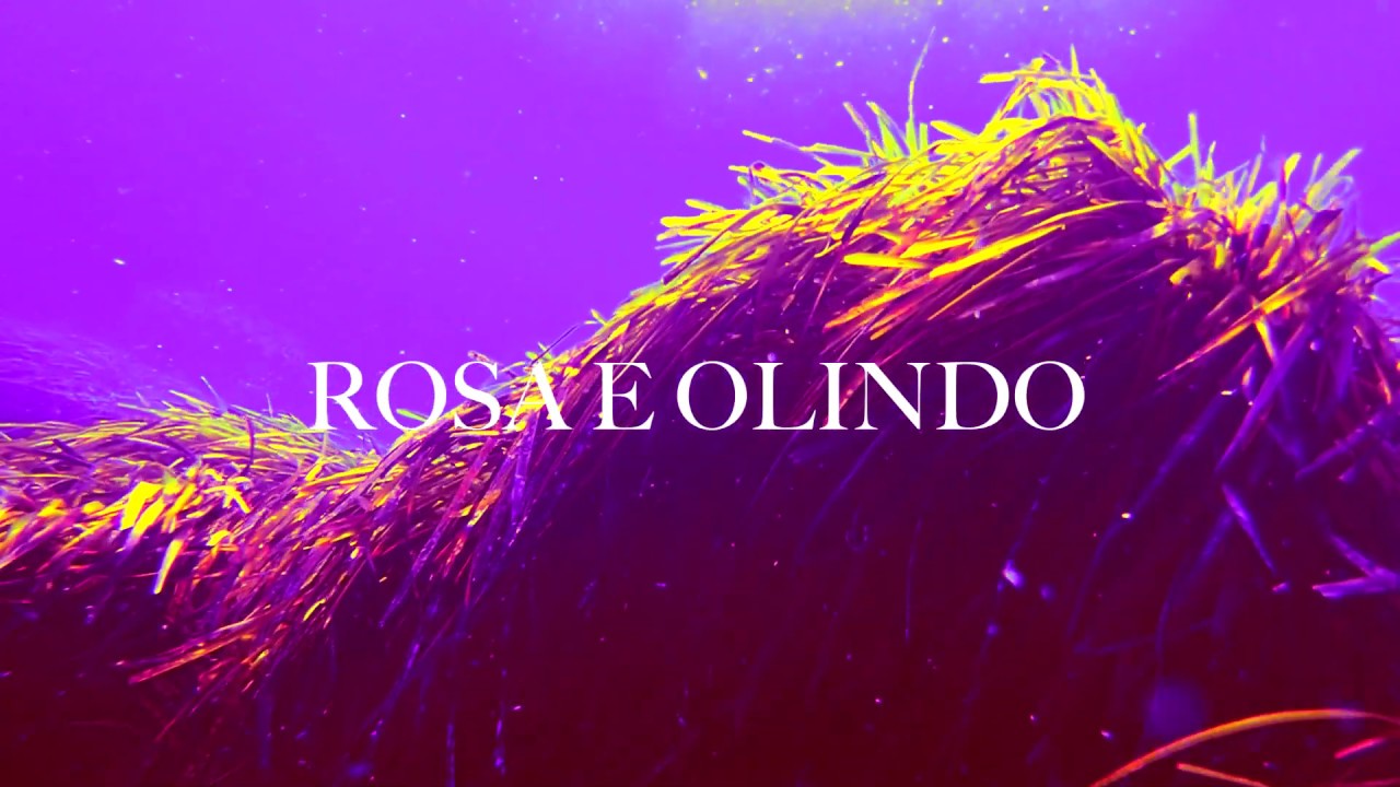 COLAPESCEDIMARTINO &ndash; ROSA E OLINDO