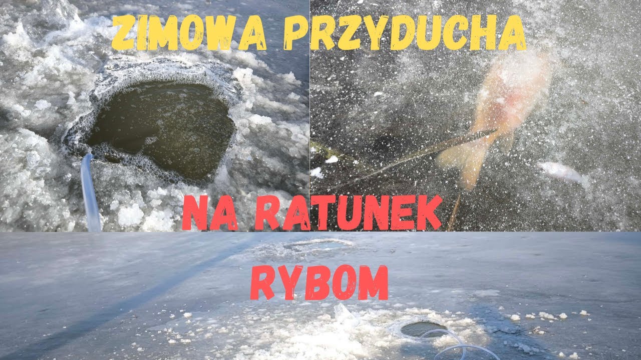Zimowa Przyducha, Napowietrzacz Stawu Zimą, Na Ratunek Rybom