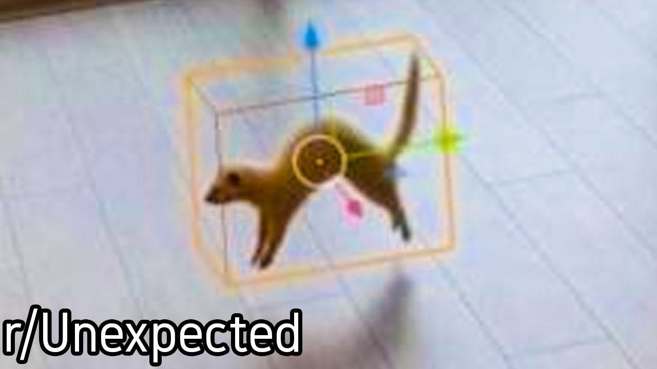 r/Unexpected | This asset hasn't been placed yet...