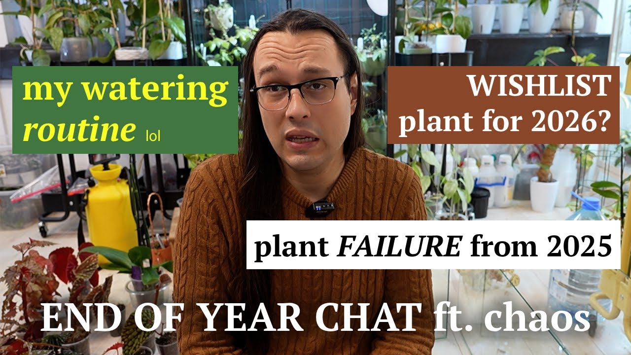 @wildfern year end houseplant wrap up tag🎄taking care of my terrarium + my fails & wins in 2025 🥲