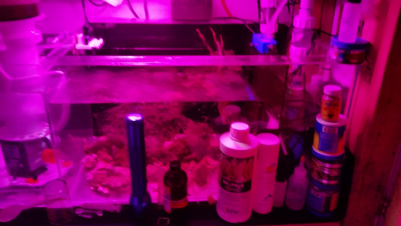 FISHOFHEX  4k Contest  11/25/2016  new diy sum