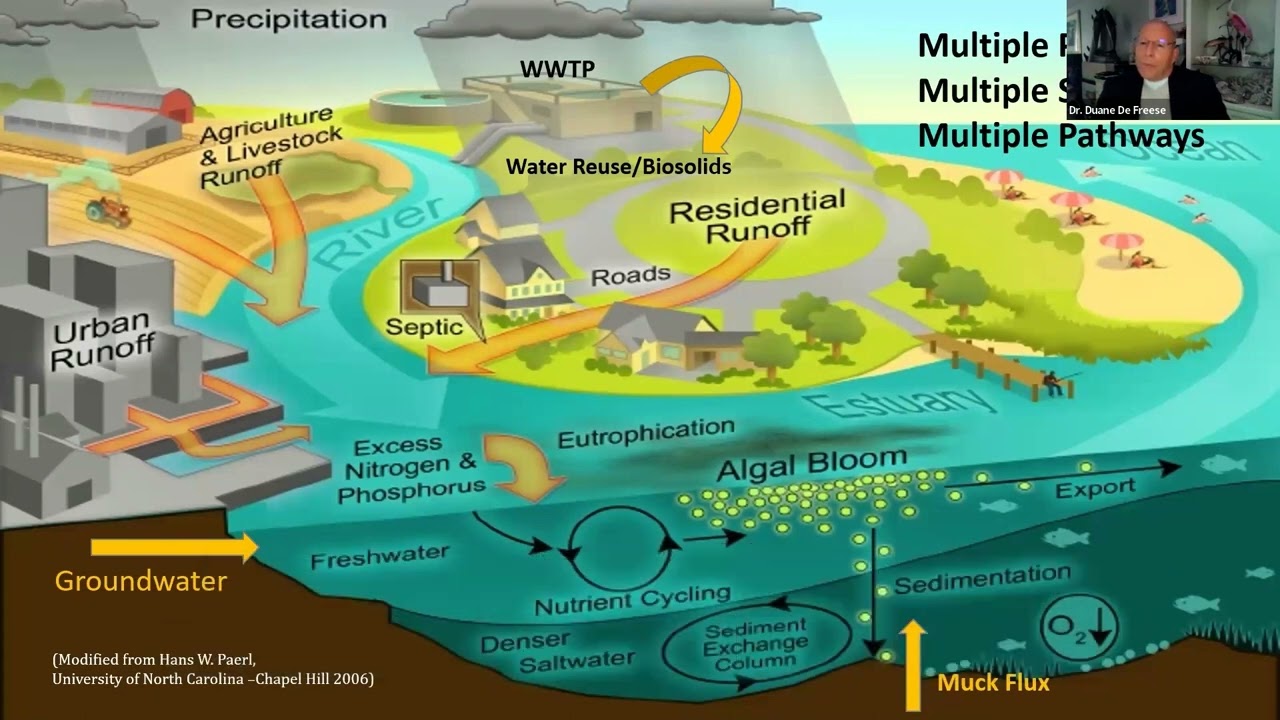A Conversation about the Indian River Lagoon