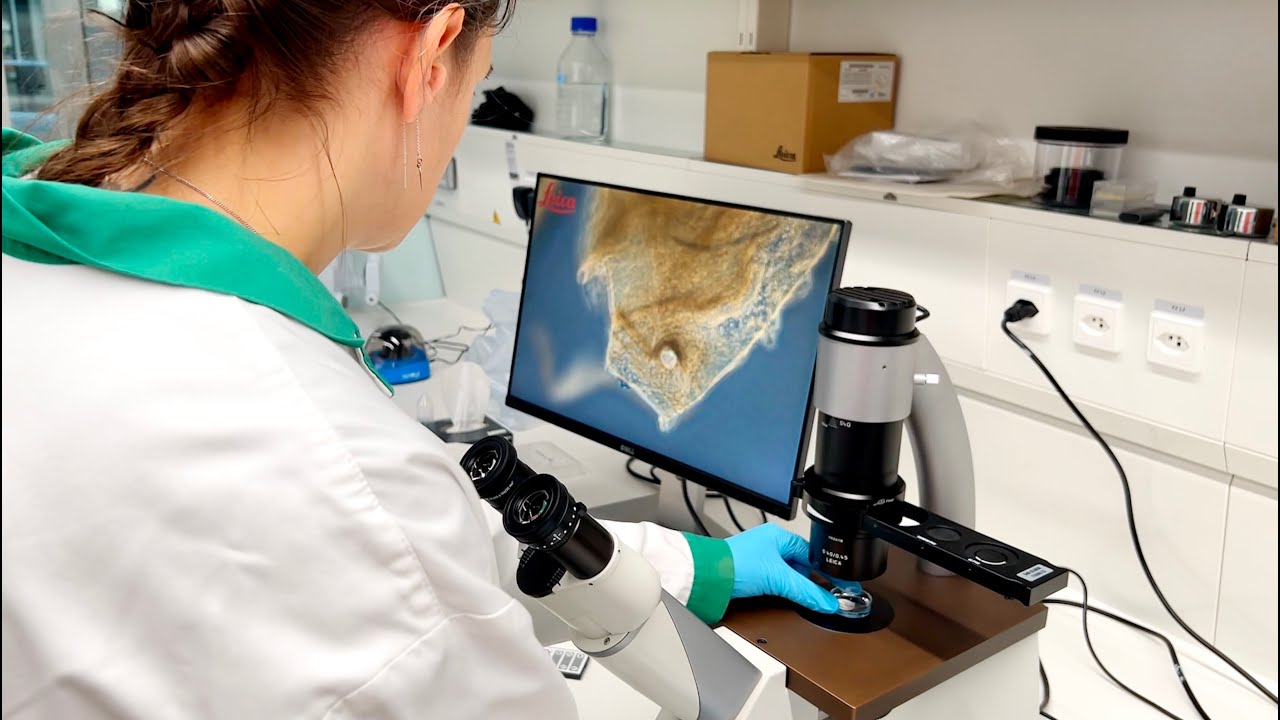 Biomechanics in cancer research