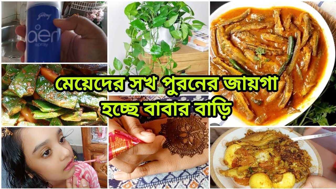 💞 মেয়েদের সখ পুরনের জায়গা হচ্ছে বাবার বাড়ি,, @HDFamily-HD 