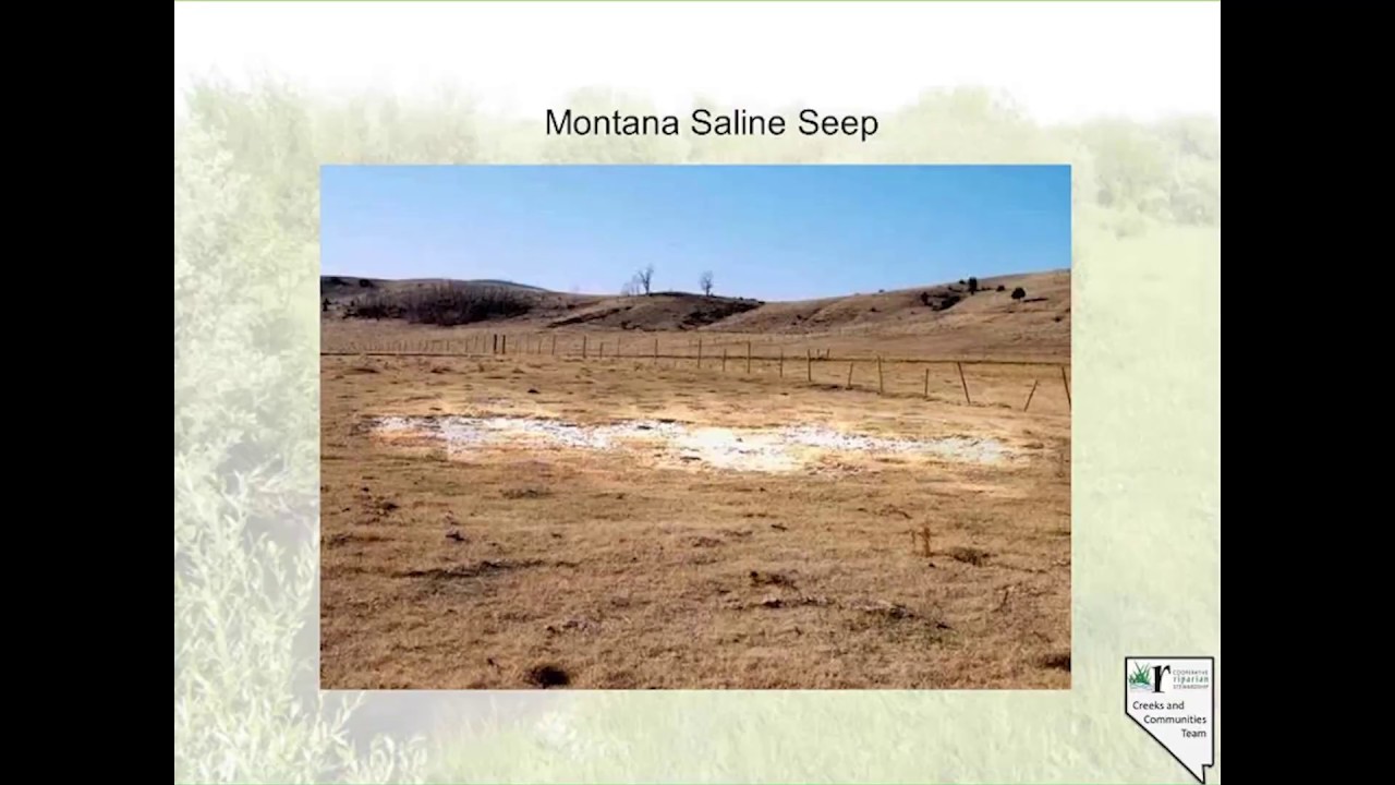 Riparian PFC Slide Set I - Lentic Hydrology
