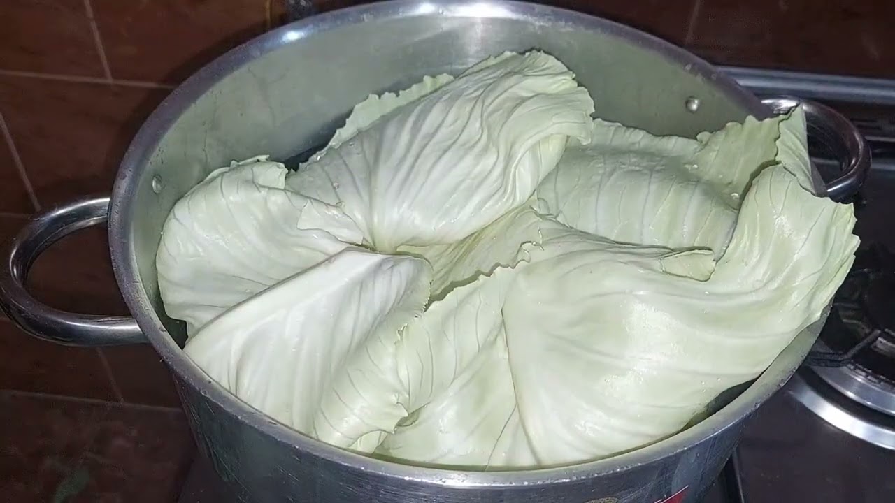 بسم الله ويا بركة بسم الله 🫴