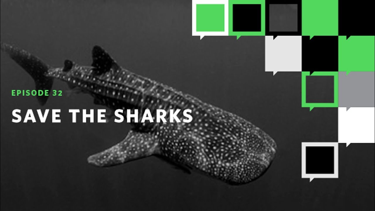 Fan Favorite No. 2&mdash;&ldquo;Save the Sharks&rdquo;