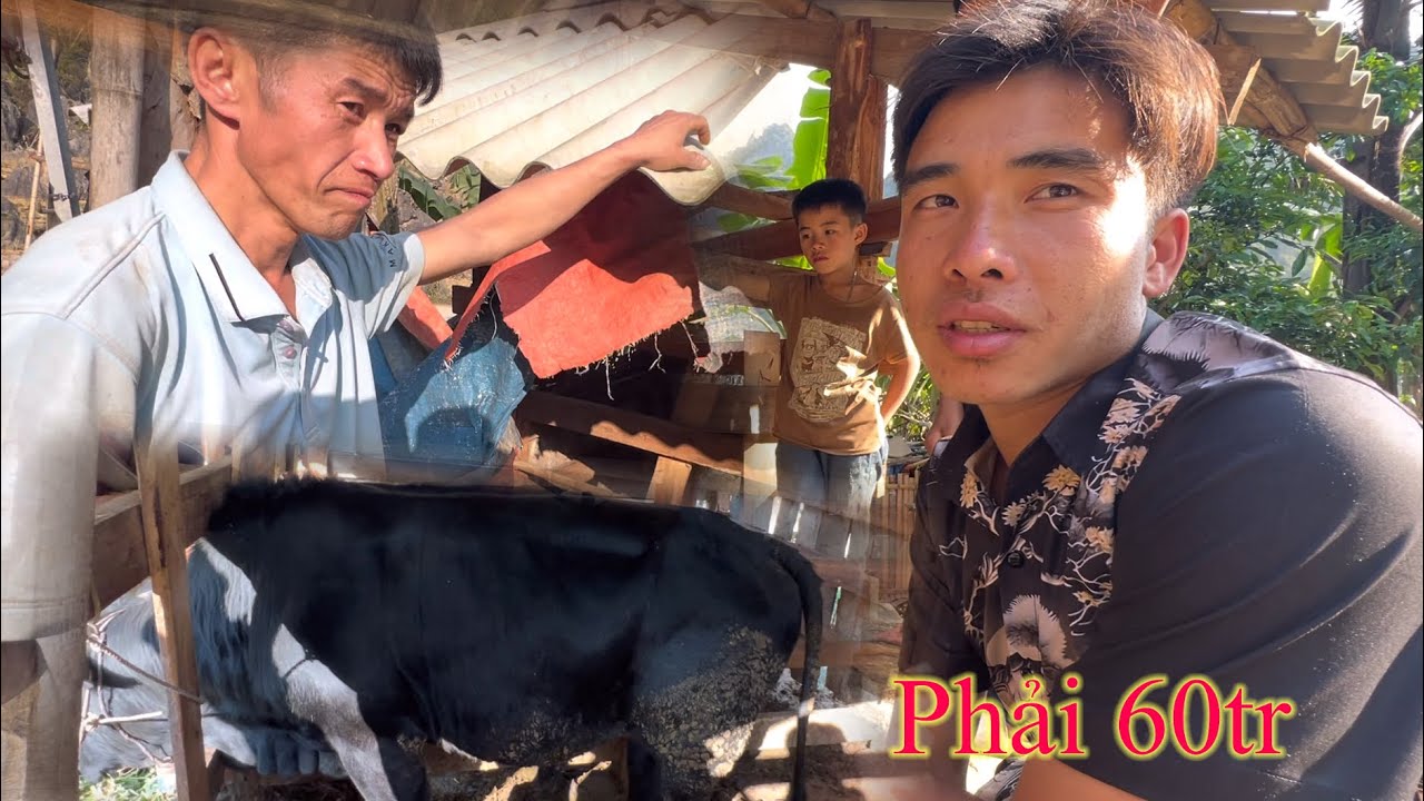 Anh sùng,gọi gấp team để làm việc này và câu chốt của em phong khiến ai cũng choáng..!