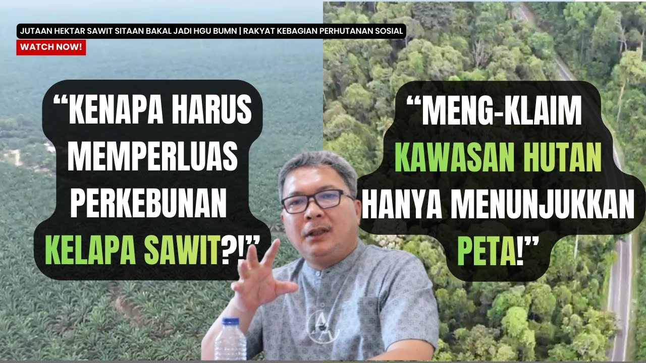 Jutaan Hektar Sawit Sitaan Bakal Jadi HGU BUMN | Rakyat Kebagian Perhutanan Sosial