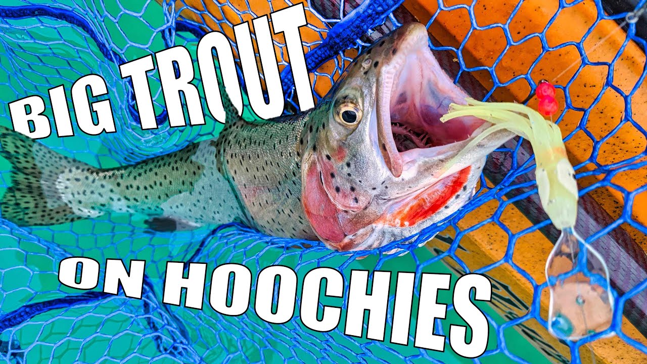How To Catch Big Trout Using Hoochies