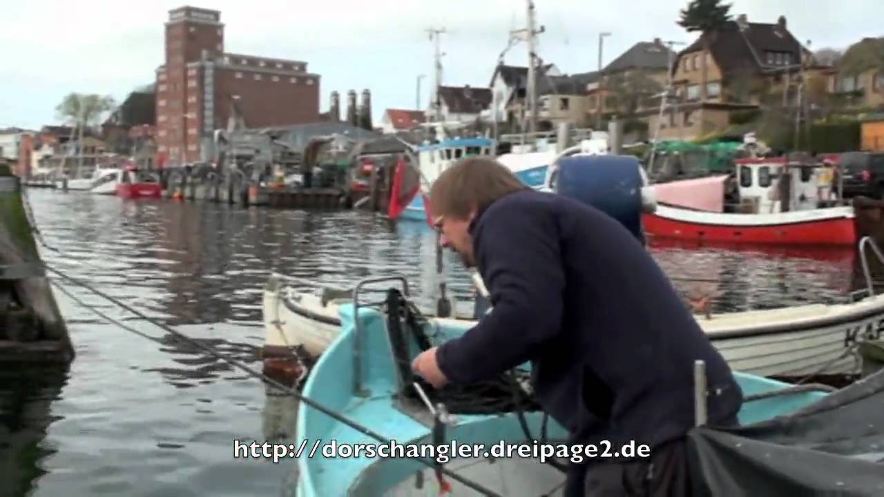 Heringe aus Kappeln