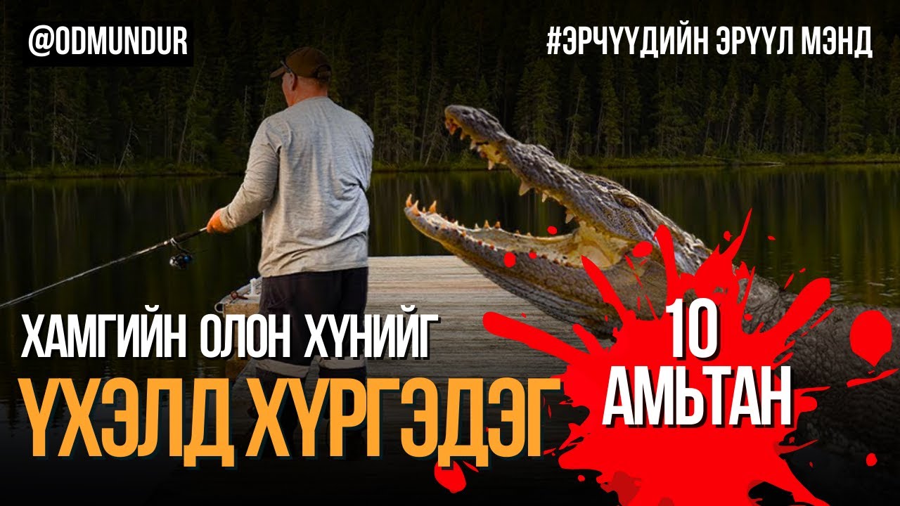 Хамгийн олон хүнийг үхэлд хүргэдэг 10 амьтан - ТОП 10