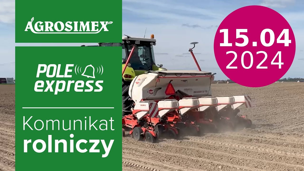 Herbicydy przed i powschodowe kukurydzy 🌽- komunikat POLE express | Agrosimex