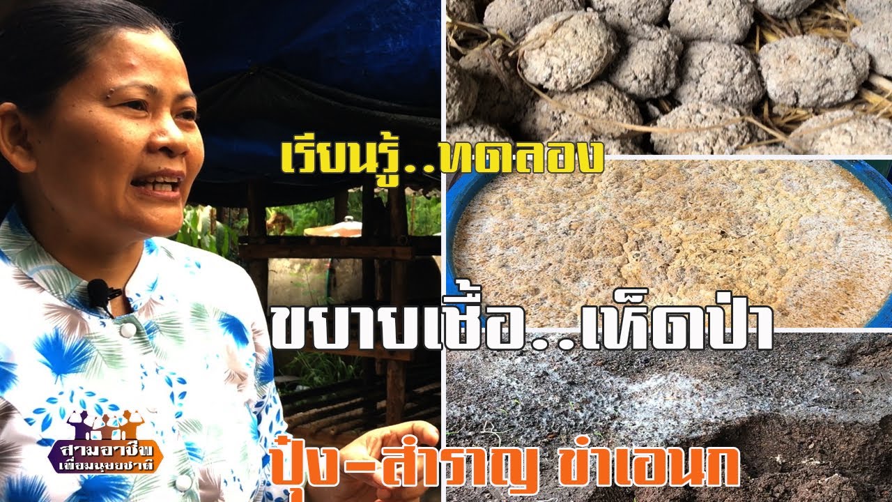 เรียนรู้..ทดลอง 