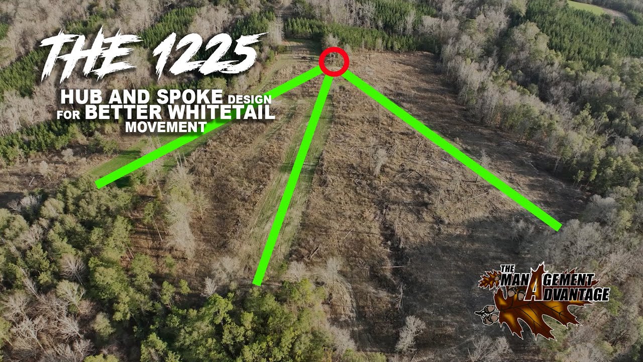 Get MORE Whitetail Movement Using Hub and Spoke