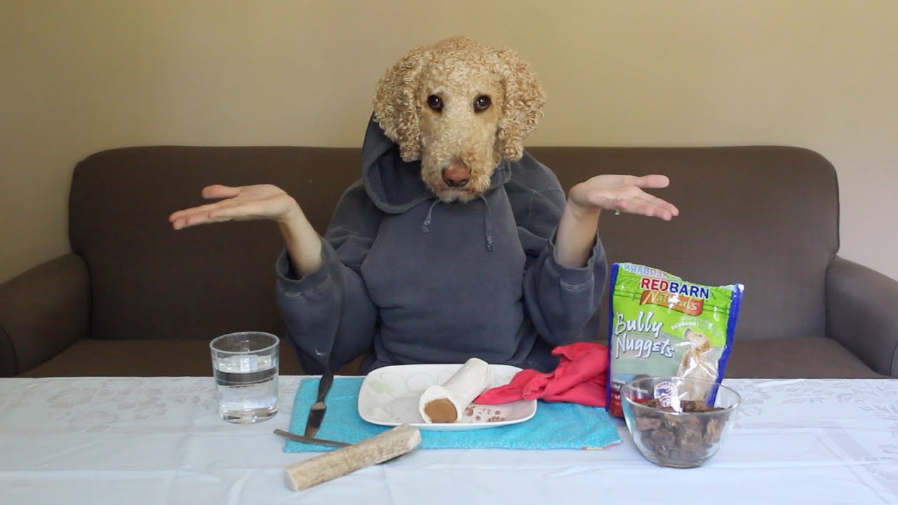 SERVICE DOG EATING WITH HUMAN HANDS!