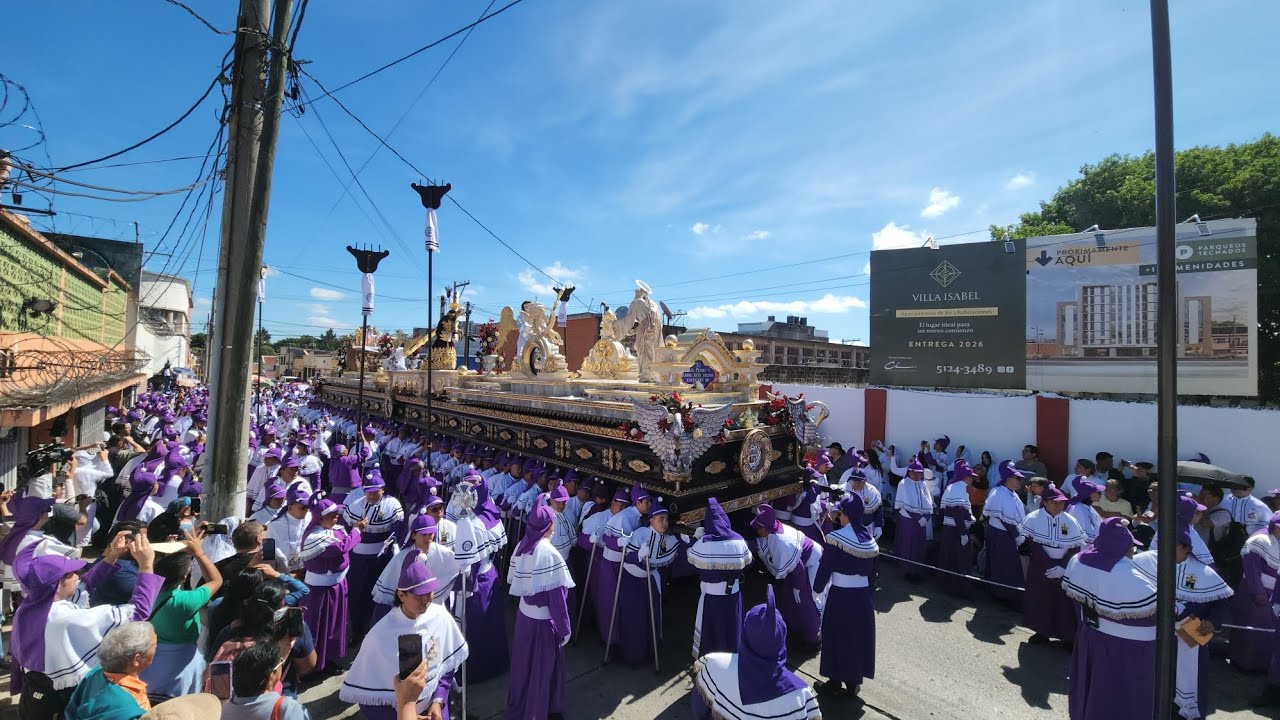 Jueves Santo | Jesús de Candelaria | Ramito de Olivo