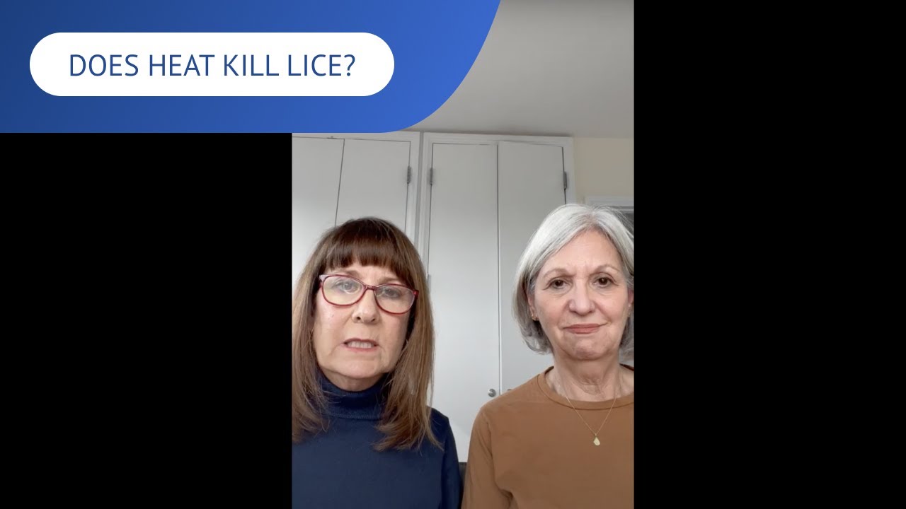 Does Heat Kill Head Lice? | LiceDoctors