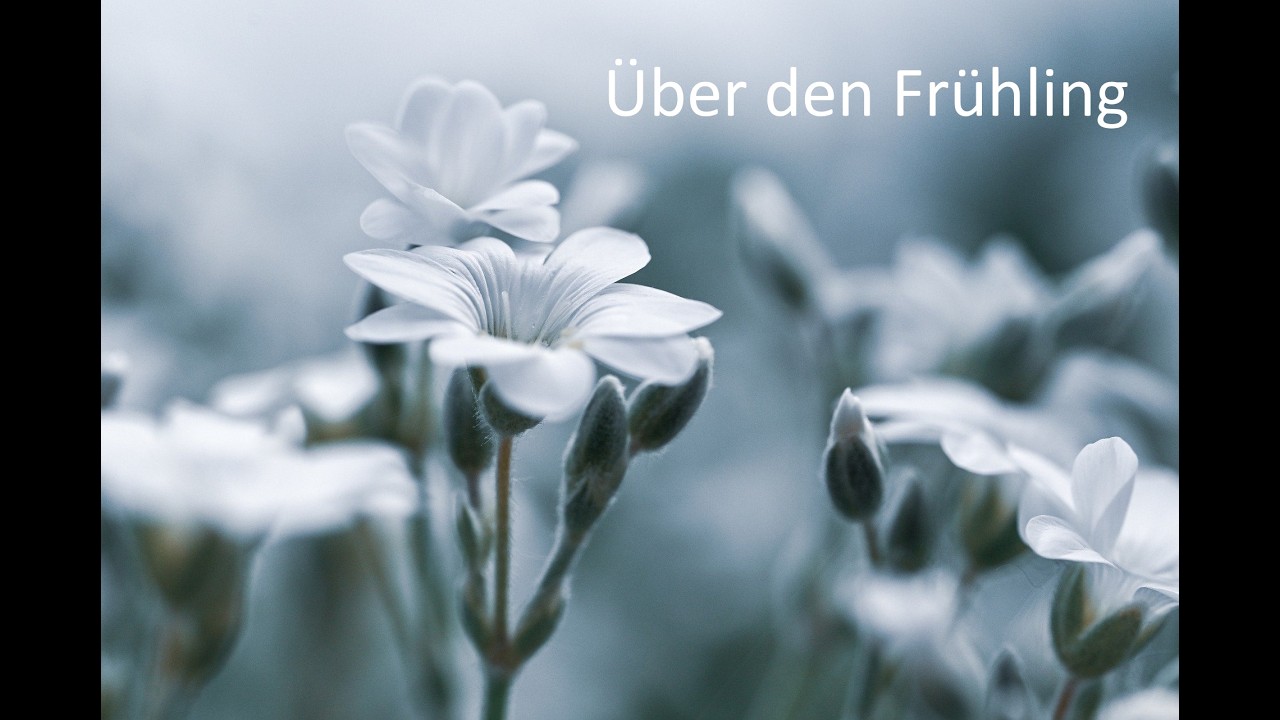 Über den Frühling - 02 - als gefühlvolle Ballade - Frühling, Frühjahr, Frühlingslieder