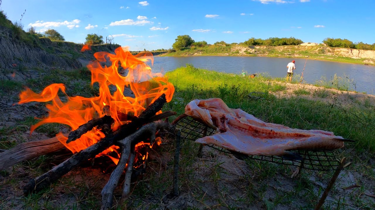 PESCA, COCINA y CAMPAMENTO en Rio Gualeguay, TARARIRAS ASADA, guiso campero, aventura y naturaleza