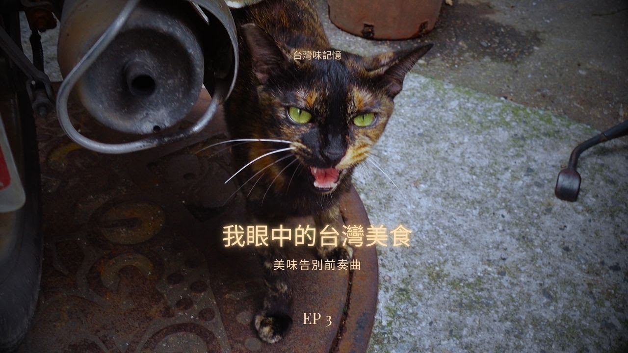 我眼中的台灣美食EP3｜台灣味記憶｜美味告別前奏曲